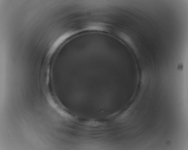 X0000113331323200909141417