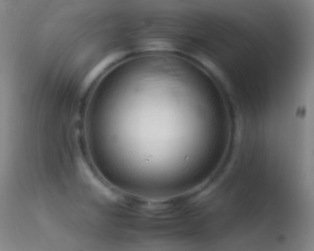 X0000113331325200909141417