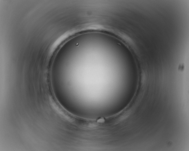 X0000113331326200909141417