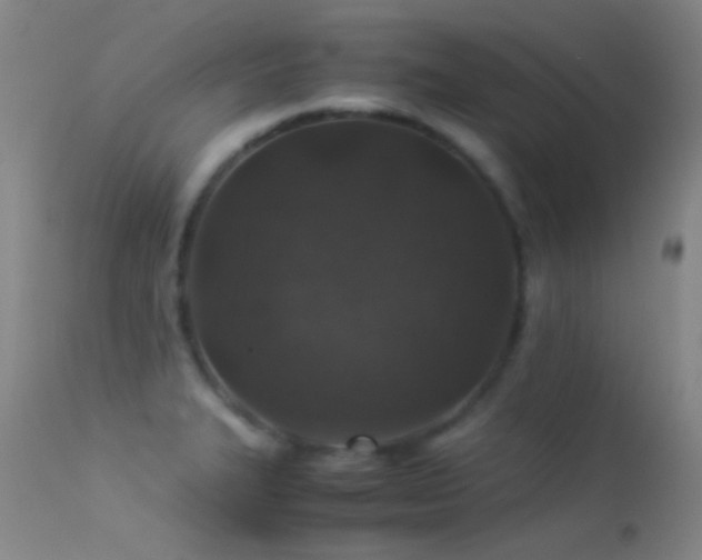 X0000113331327200909141417