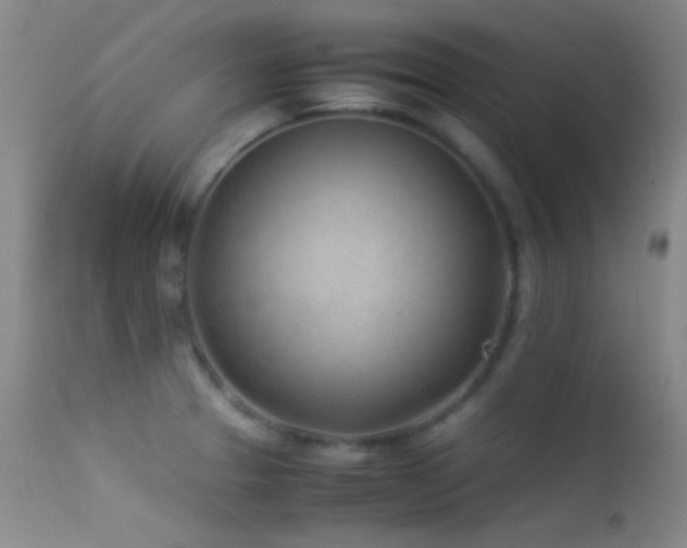 X0000113331329200909141418
