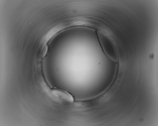 X0000113331330200909141418