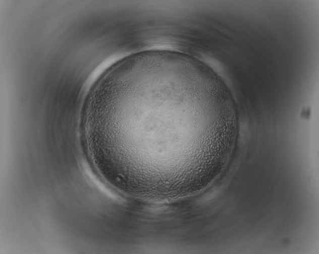 X0000113331331200909141418