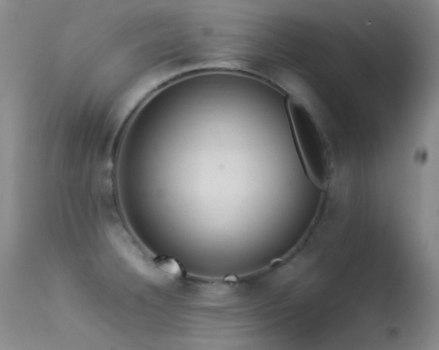 X0000113331332200909141418