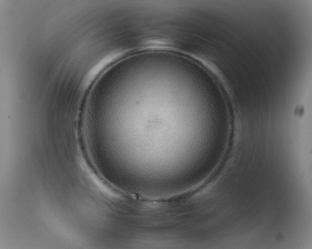 X0000113331333200909141418