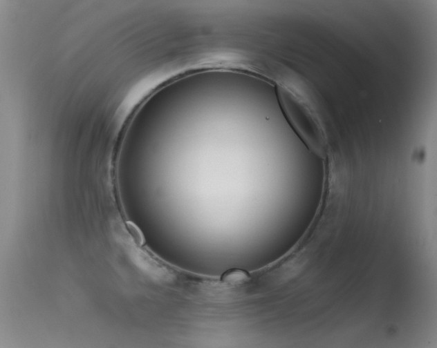 X0000113331336200909141418