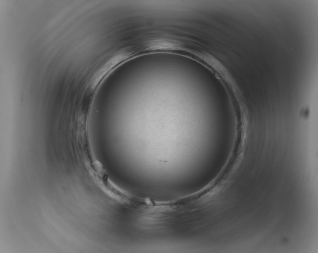 X0000113331337200909141418