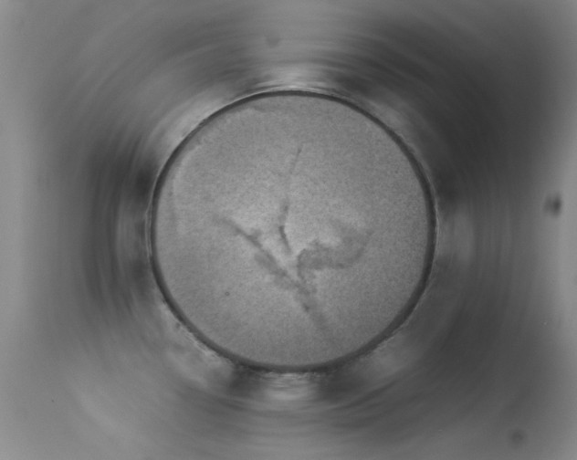 X0000113331338200909141418