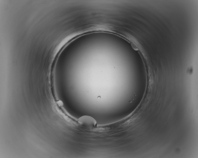 X0000113331339200909141418