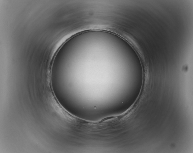 X0000113331340200909141418