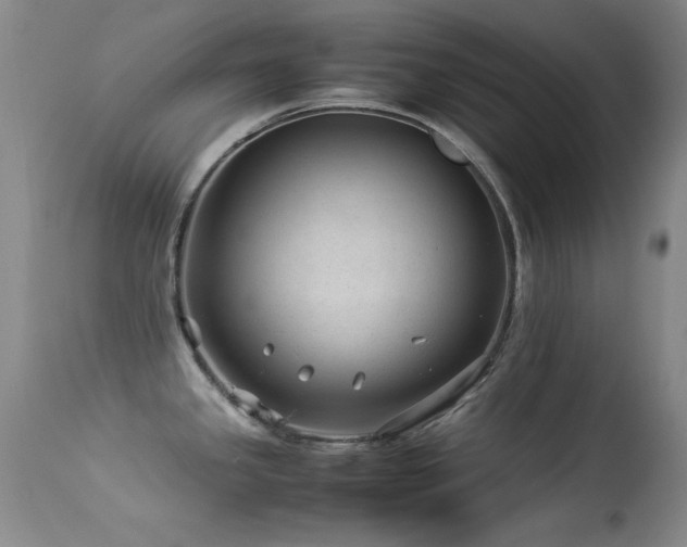 X0000113331341200909141418