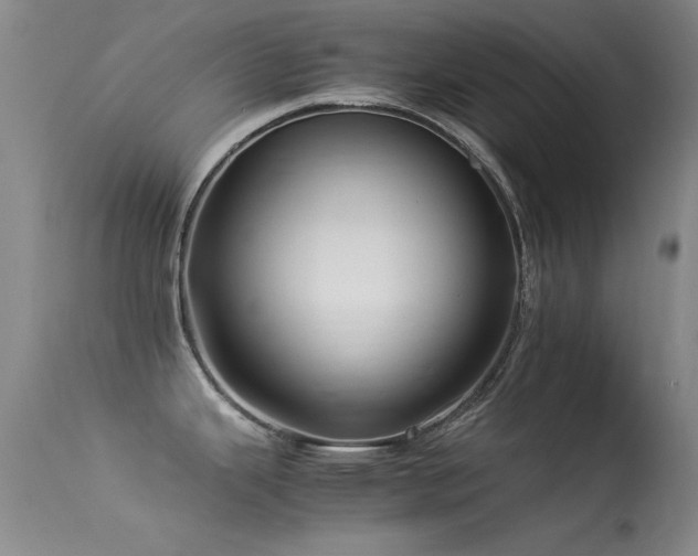 X0000113331343200909141418