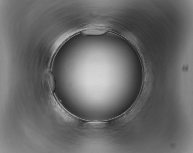 X0000113331344200909141418