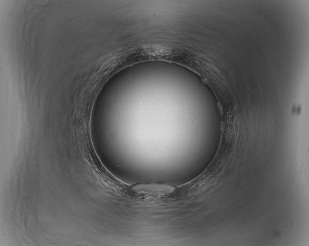 X0000113331345200909141417