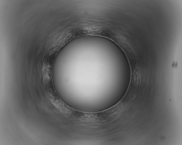 X0000113331346200909141417
