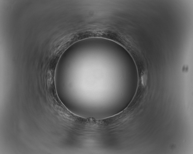 X0000113331347200909141417