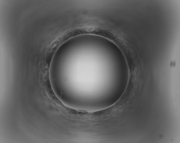 X0000113331349200909141417