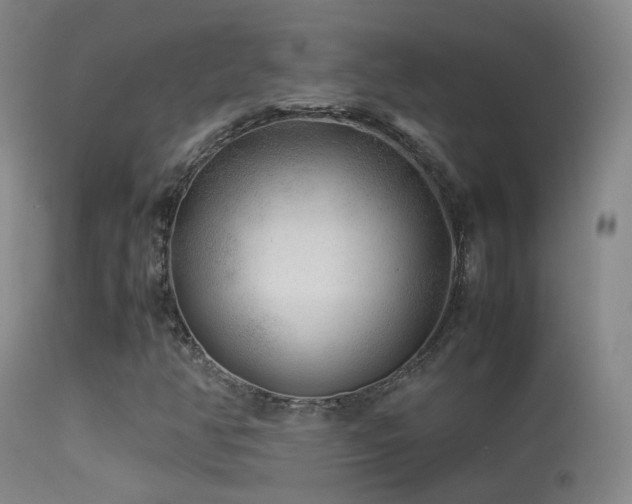 X0000113331350200909141417