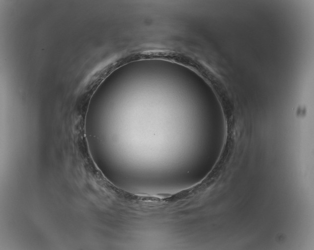 X0000113331351200909141417