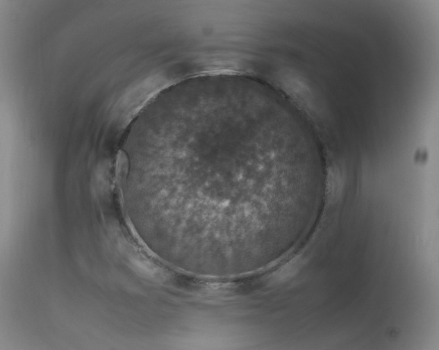 X0000113331353200909141417