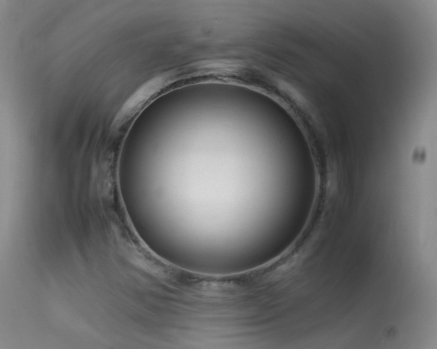 X0000113331354200909141417
