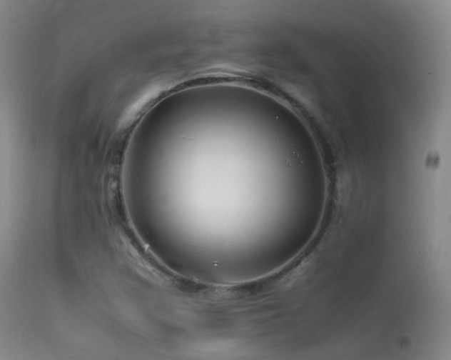 X0000113331355200909141417