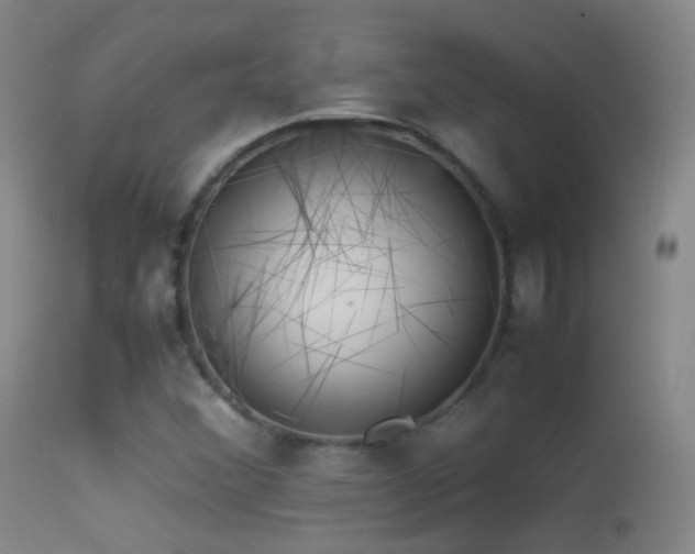 X0000113331356200909141417