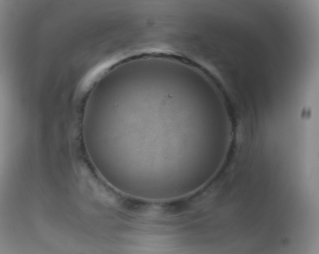 X0000113331359200909141417