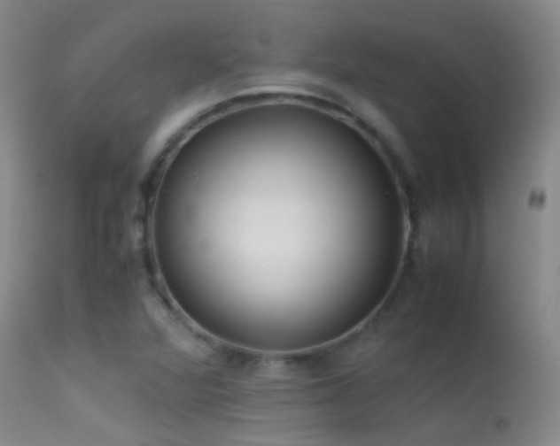 X0000113331360200909141417