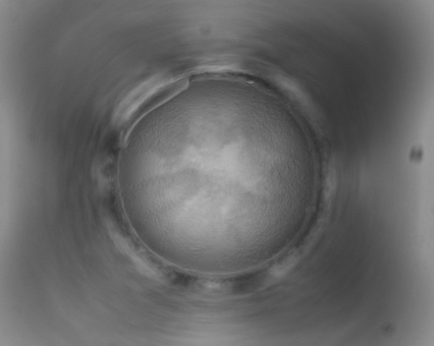 X0000113331361200909141417
