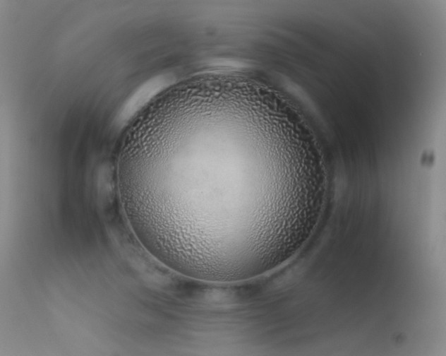 X0000113331362200909141417