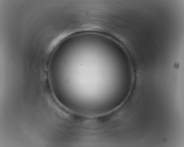 X0000113331363200909141416