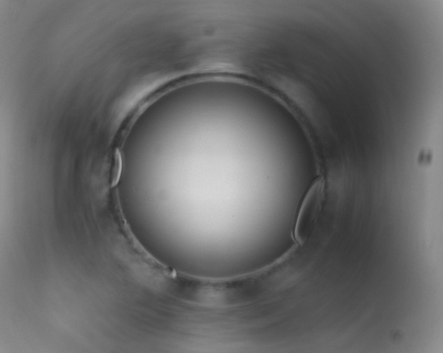 X0000113331364200909141416