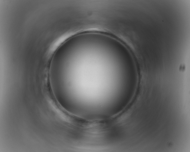 X0000113331367200909141416