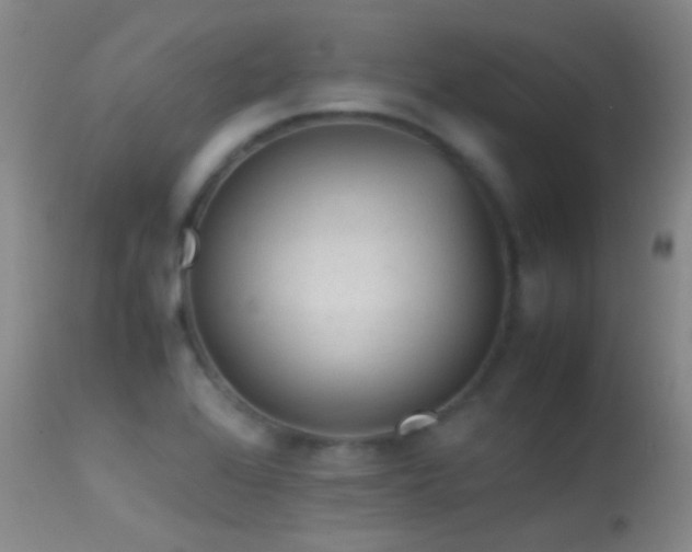 X0000113331368200909141416