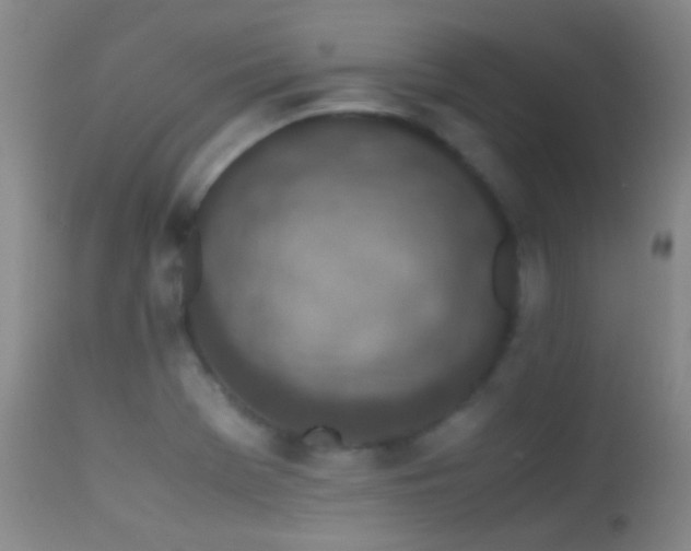 X0000113331369200909141416