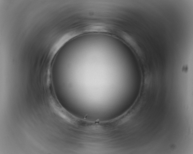 X0000113331370200909141416