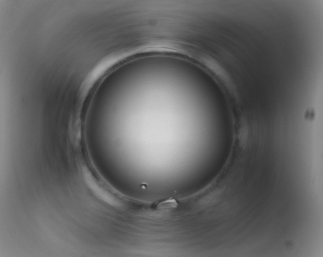 X0000113331372200909141416