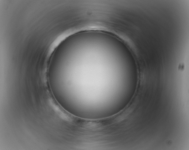 X0000113331374200909141416