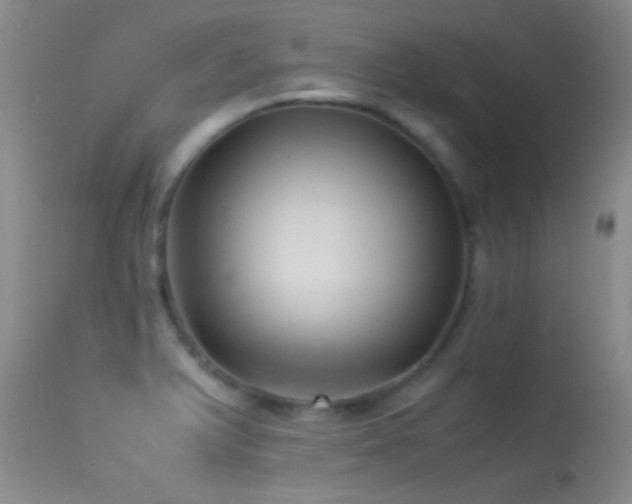 X0000113331375200909141416