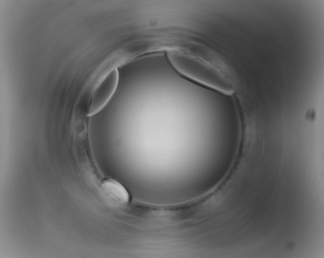 X0000113331377200909141416