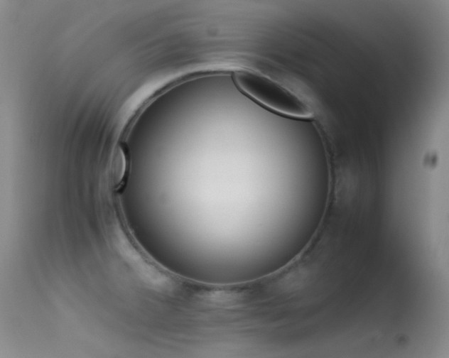 X0000113331380200909141416