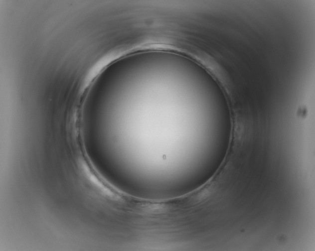 X0000113331382200909141416