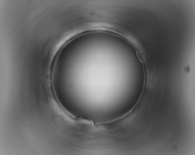 X0000113331384200909141416