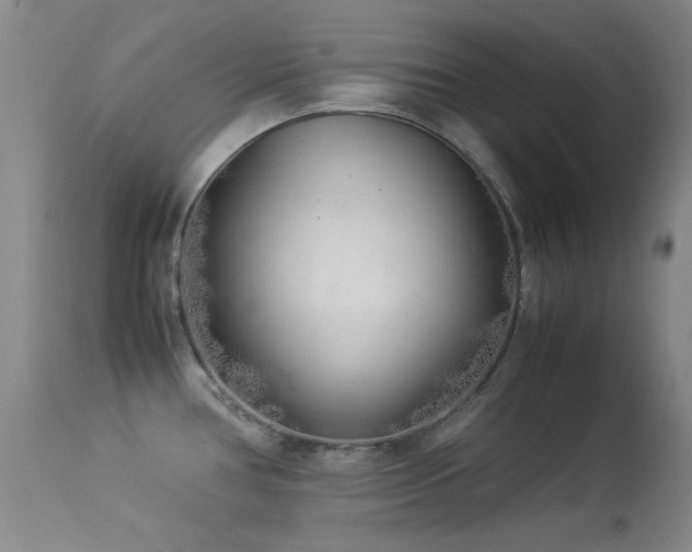 X0000113331386200909141416