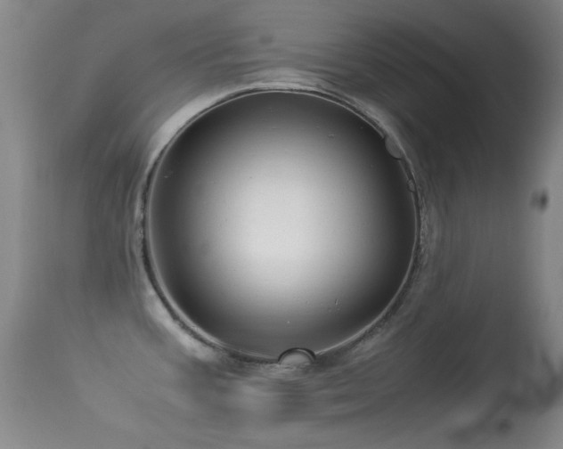 X0000113331387200909141416