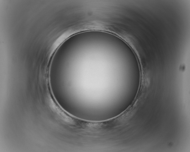 X0000113331389200909141416