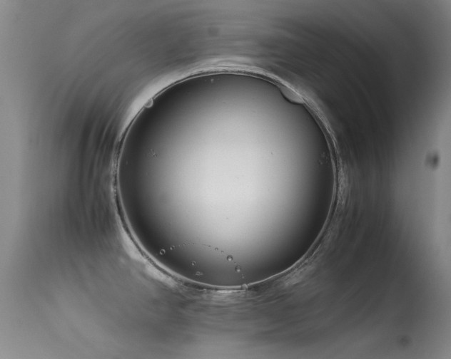 X0000113331390200909141416