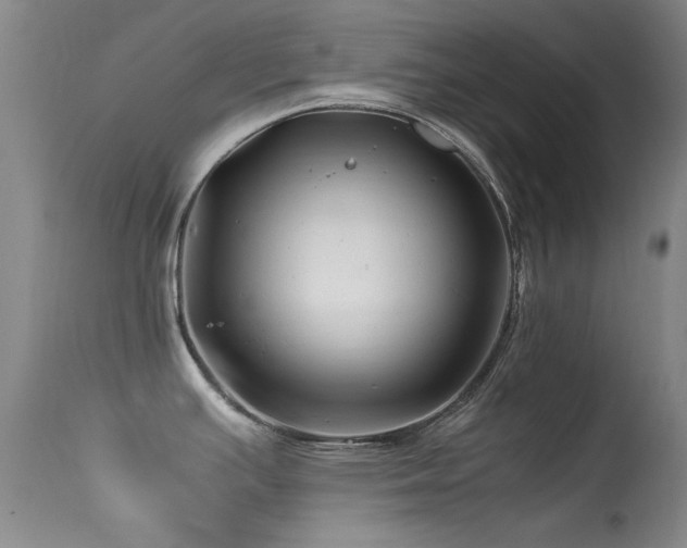 X0000113331391200909141416