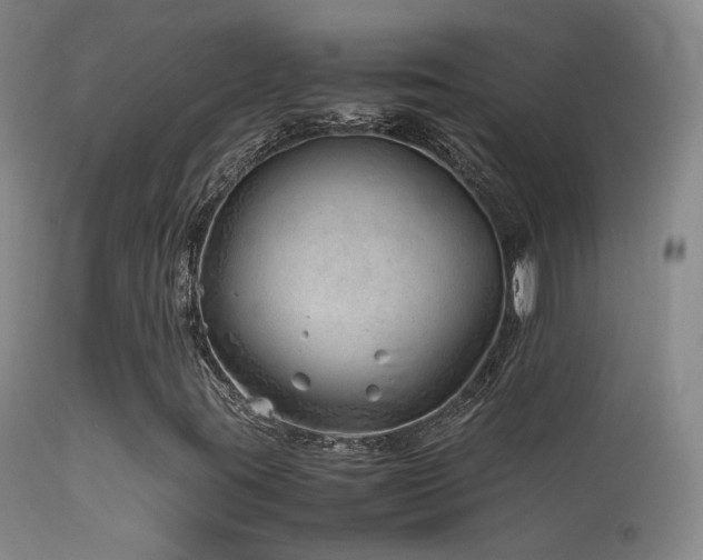 X0000113331395200909141415
